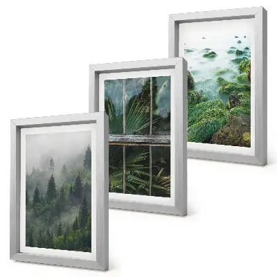 Juego de 3 cuadros decorativos un bosque con niebla, la orilla de un río y un invernadero con plantas