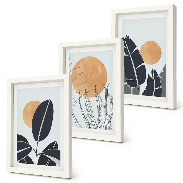 Tríptico enmarcado diseños de plantas con grandes soles de estilo minimalista