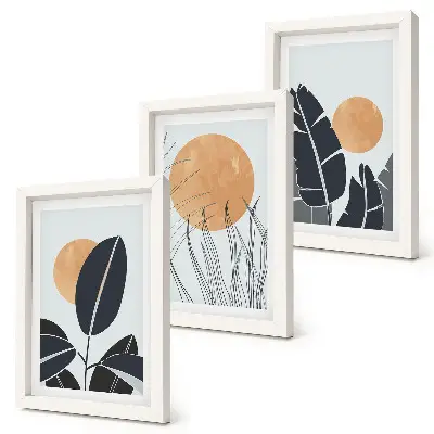Tríptico enmarcado diseños de plantas con grandes soles de estilo minimalista