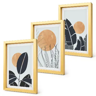 Tríptico enmarcado diseños de plantas con grandes soles de estilo minimalista