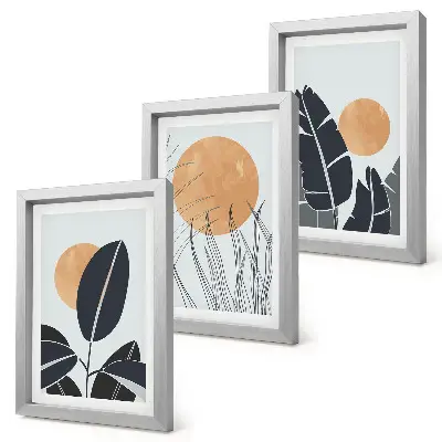 Tríptico enmarcado diseños de plantas con grandes soles de estilo minimalista