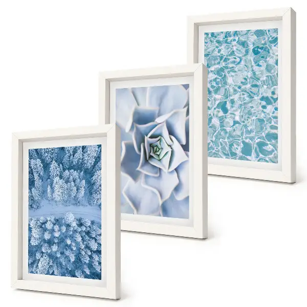 Juego de 3 cuadros decorativos con diseño de bosque invernal, flor azul y superficie de agua