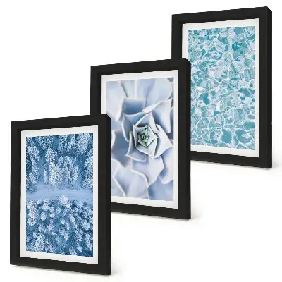 Juego de 3 cuadros decorativos con diseño de bosque invernal, flor azul y superficie de agua