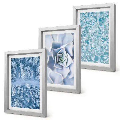 Juego de 3 cuadros decorativos con diseño de bosque invernal, flor azul y superficie de agua