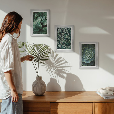 Juego de 3 cuadros decorativos Plantas de hojas verdes y suculentas con estilo.