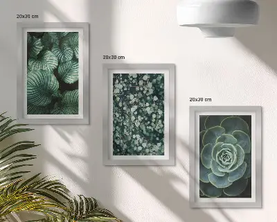Juego de 3 cuadros decorativos con diseño de plantas de hojas verdes y suculentas