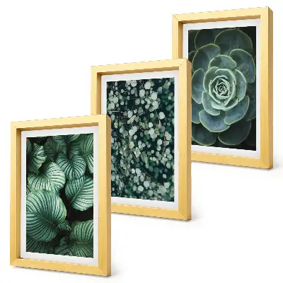 Juego de 3 cuadros decorativos con diseño de plantas de hojas verdes y suculentas