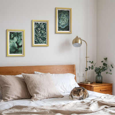 Juego de 3 cuadros decorativos Plantas de hojas verdes y suculentas con estilo.