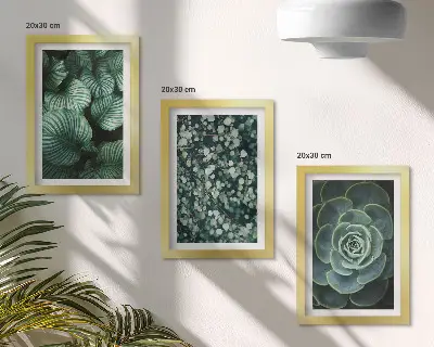 Juego de 3 cuadros decorativos con diseño de plantas de hojas verdes y suculentas