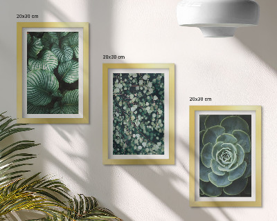 Juego de 3 cuadros decorativos Plantas de hojas verdes y suculentas con estilo.