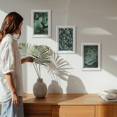 Juego de 3 cuadros decorativos Plantas de hojas verdes y suculentas con estilo.