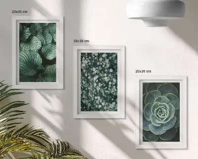 Juego de 3 cuadros decorativos con diseño de plantas de hojas verdes y suculentas