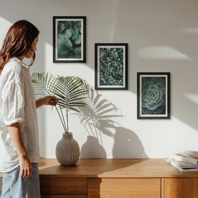 Juego de 3 cuadros decorativos Plantas de hojas verdes y suculentas con estilo.
