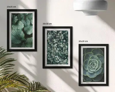 Juego de 3 cuadros decorativos con diseño de plantas de hojas verdes y suculentas