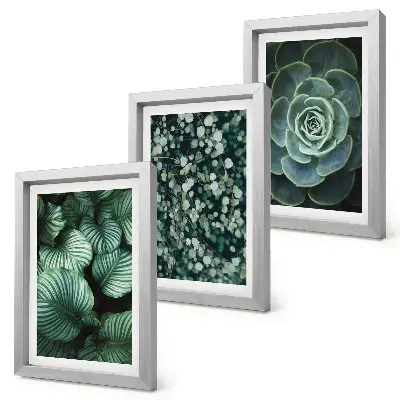 Juego de 3 cuadros decorativos con diseño de plantas de hojas verdes y suculentas