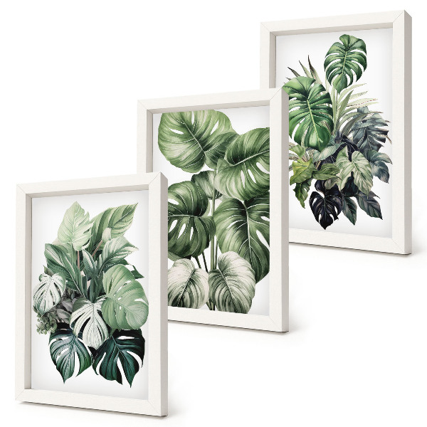 Juego de 3 cuadros decorativos Acuarelas de hojas verdes de plantas tropicales