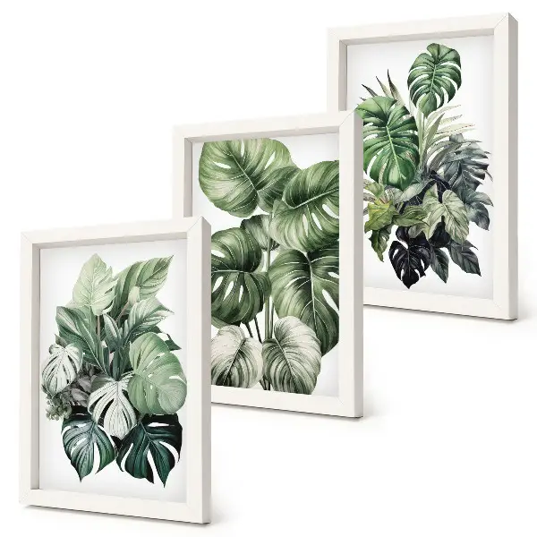 Juego de 3 cuadros decorativos con acuarelas de hojas verdes de plantas tropicales
