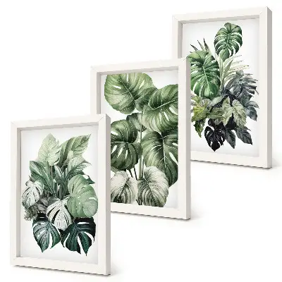 Juego de 3 cuadros decorativos con acuarelas de hojas verdes de plantas tropicales