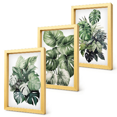 Juego de 3 cuadros decorativos Acuarelas de hojas verdes de plantas tropicales