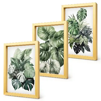 Juego de 3 cuadros decorativos con acuarelas de hojas verdes de plantas tropicales