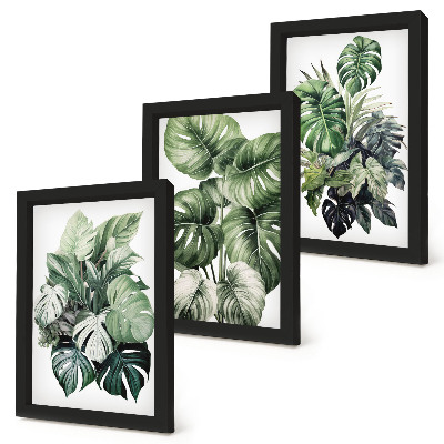 Juego de 3 cuadros decorativos Acuarelas de hojas verdes de plantas tropicales