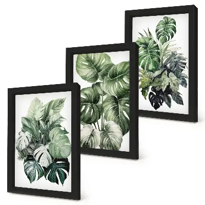 Juego de 3 cuadros decorativos con acuarelas de hojas verdes de plantas tropicales