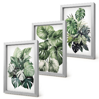 Juego de 3 cuadros decorativos Acuarelas de hojas verdes de plantas tropicales