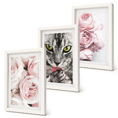 Tríptico enmarcado Un gato entre flores rosas y peonías.