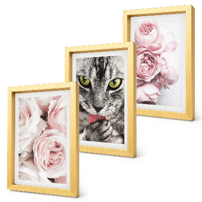 Tríptico enmarcado Un gato entre flores rosas y peonías.