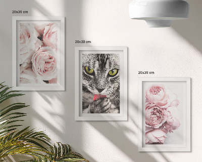 Tríptico enmarcado Un gato entre flores rosas y peonías.