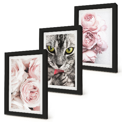 Tríptico enmarcado Un gato entre flores rosas y peonías.