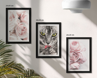 Tríptico enmarcado Un gato entre flores rosas y peonías.