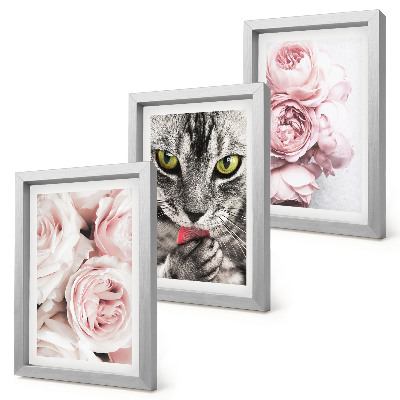 Tríptico enmarcado Un gato entre flores rosas y peonías.