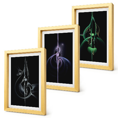 Juego de 3 cuadros decorativos Patrones abstractos en tonos de negro y color.