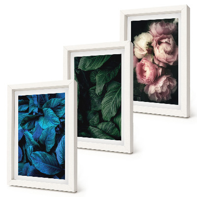 Tríptico enmarcado Hojas y flores de diferentes colores.