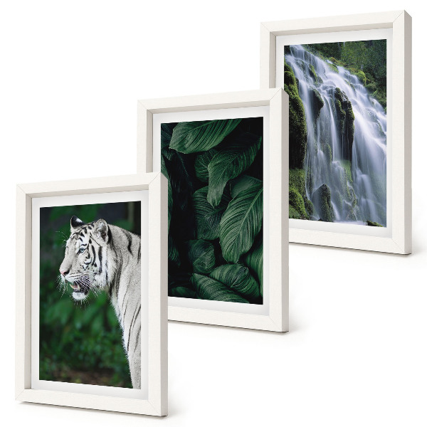 Juego de 3 cuadros decorativos Hojas de tigre blanco y cascada en un entorno natural