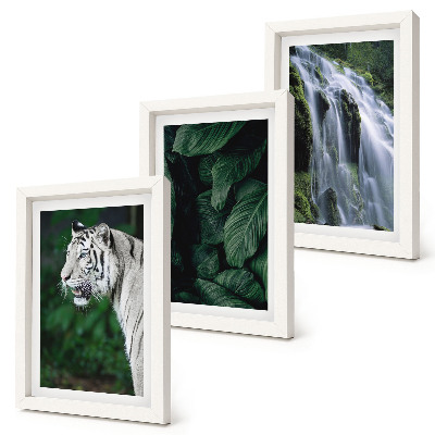Juego de 3 cuadros decorativos Hojas de tigre blanco y cascada en un entorno natural