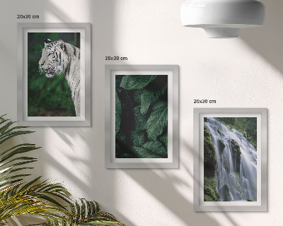Juego de 3 cuadros decorativos Hojas de tigre blanco y cascada en un entorno natural