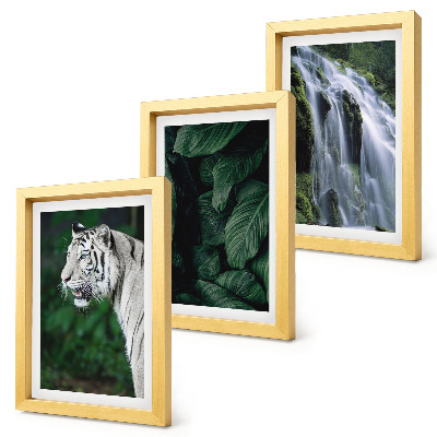Juego de 3 cuadros decorativos Hojas de tigre blanco y cascada en un entorno natural