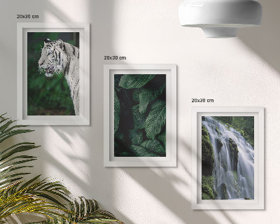 Juego de 3 cuadros decorativos Hojas de tigre blanco y cascada en un entorno natural