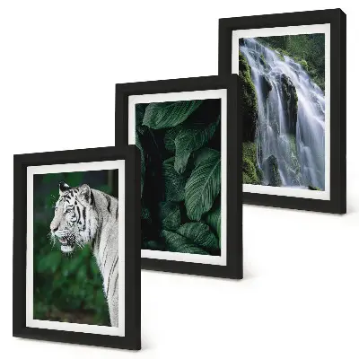 Juego de 3 cuadros decorativos con diseño de hojas de tigre blanco y cascada en un entorno natural
