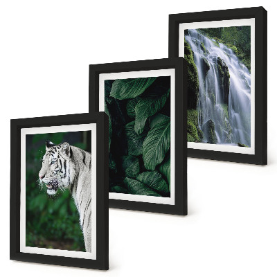 Juego de 3 cuadros decorativos Hojas de tigre blanco y cascada en un entorno natural