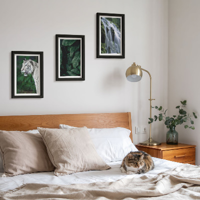 Juego de 3 cuadros decorativos Hojas de tigre blanco y cascada en un entorno natural