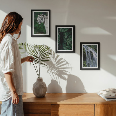 Juego de 3 cuadros decorativos Hojas de tigre blanco y cascada en un entorno natural