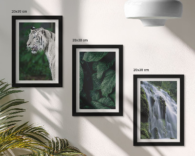 Juego de 3 cuadros decorativos Hojas de tigre blanco y cascada en un entorno natural