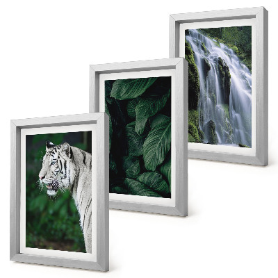 Juego de 3 cuadros decorativos Hojas de tigre blanco y cascada en un entorno natural