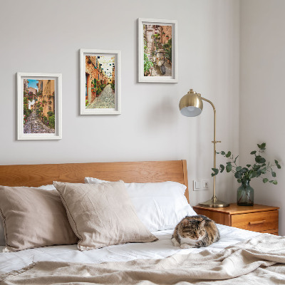 Juego de 3 cuadros decorativos Calles encantadoras con flores en un ambiente italiano.