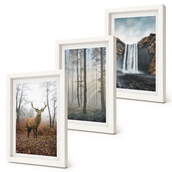 Juego de 3 cuadros decorativos con paisajes de naturaleza salvaje y ciervos en el bosque