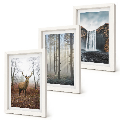 Juego de 3 cuadros decorativos paisajes forestales naturaleza salvaje ciervos
