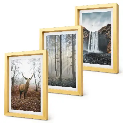 Juego de 3 cuadros decorativos con paisajes de naturaleza salvaje y ciervos en el bosque